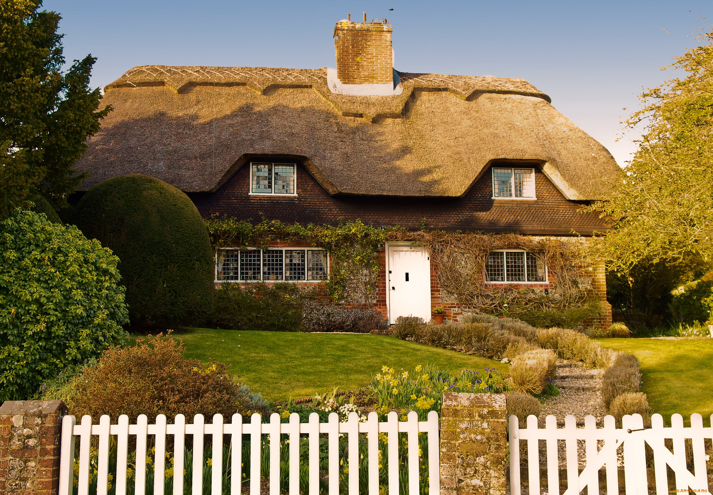 Housing in great britain. Сельская Англия Хэмпшир. Сельский дом в Англии. Графство Хэмпшир Великобритания. Cottage дом в Англии.